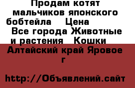 Продам котят мальчиков японского бобтейла. › Цена ­ 30 000 - Все города Животные и растения » Кошки   . Алтайский край,Яровое г.